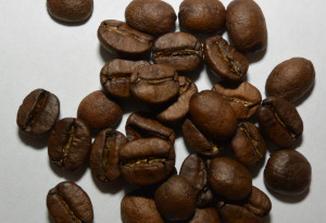 コーヒー豆画像
