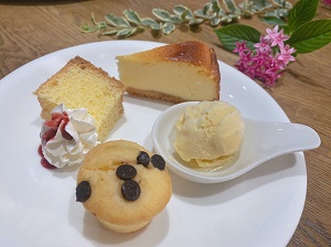 サンプル画像